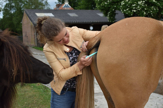 PAT-Werte beim Pferd
