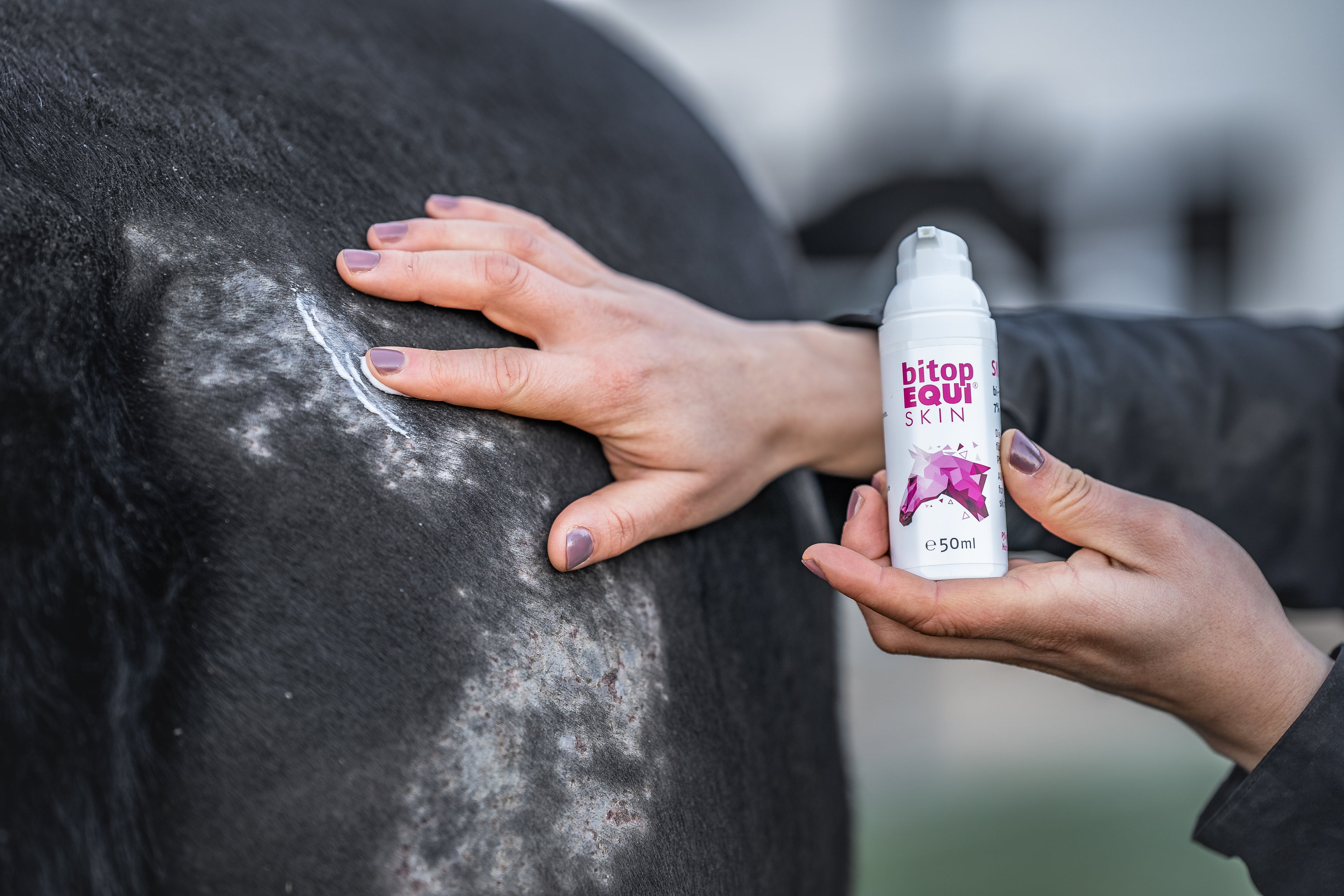 Anwendung der SKIN Help Creme an einem Pferd mit trockener Haut