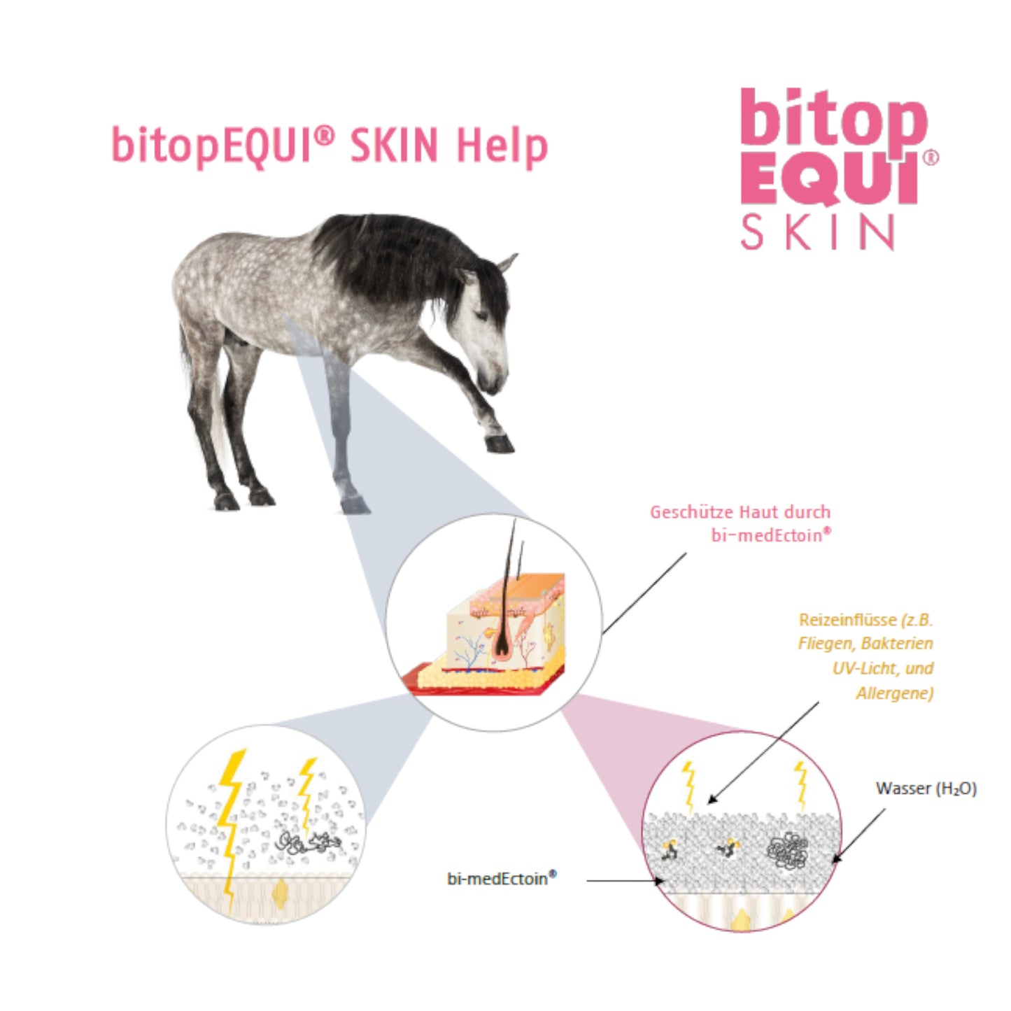 bitopEQUI® SKIN Help