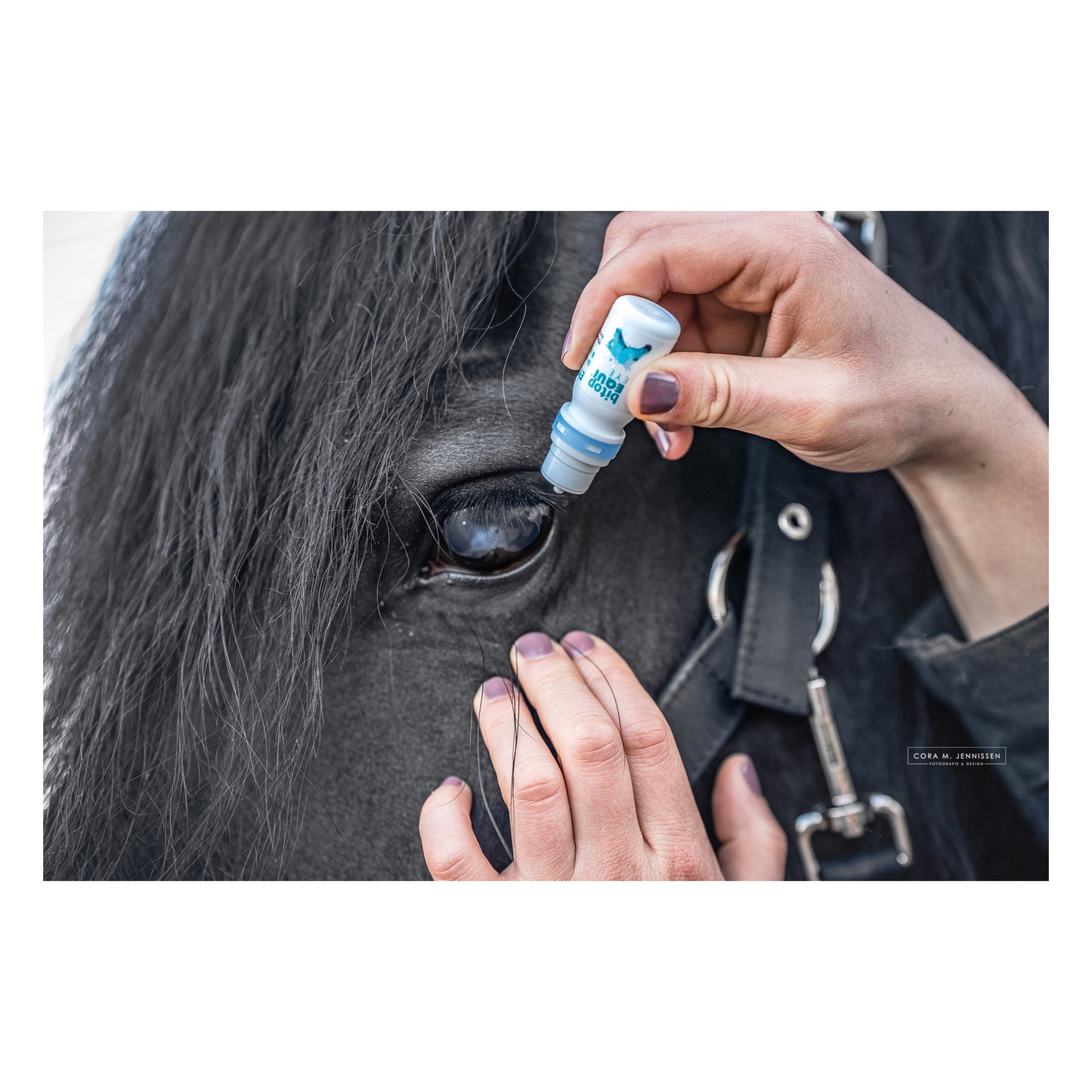bitopEQUI® EYE Care