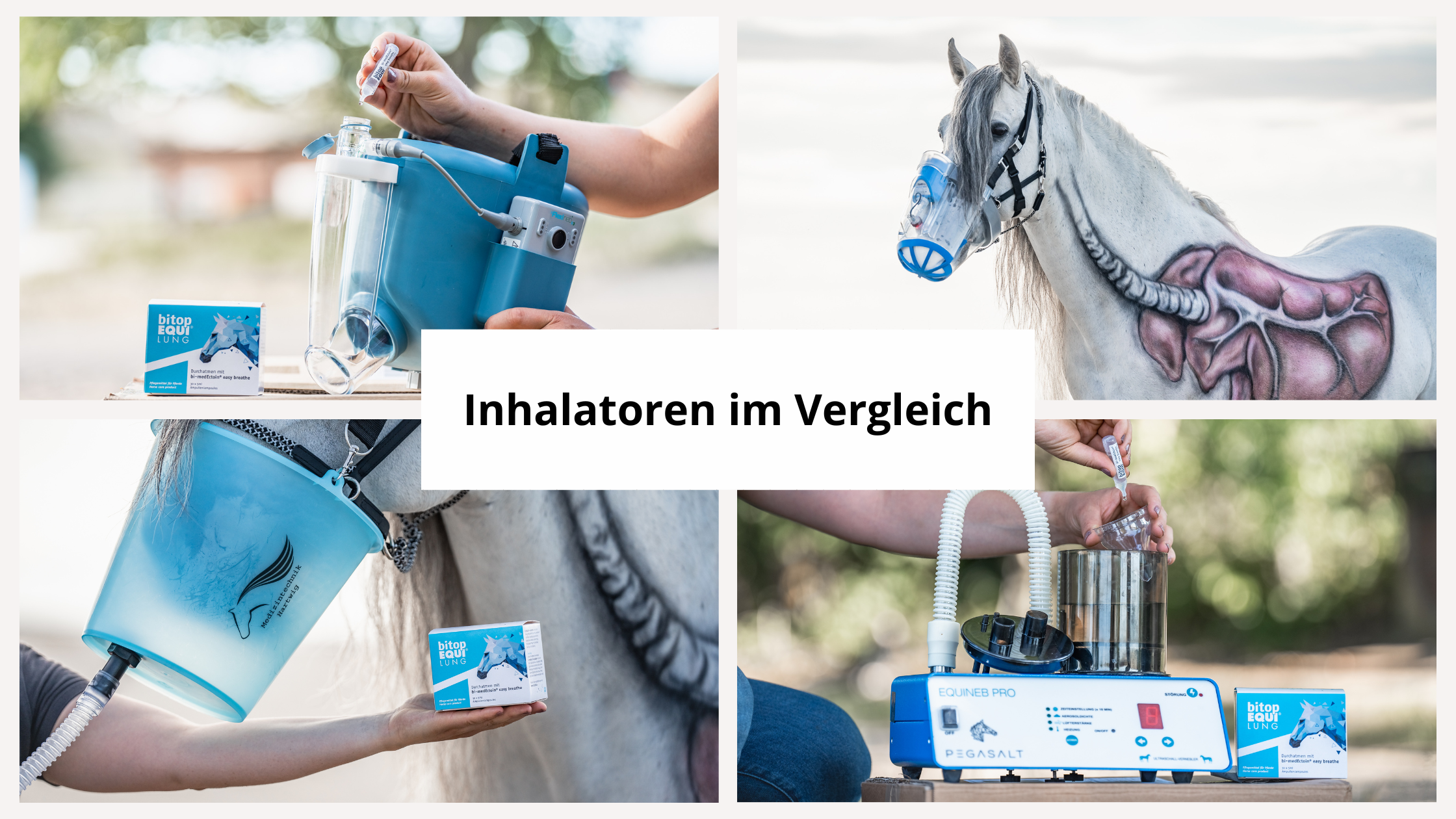 Inhalers for horses in comparison